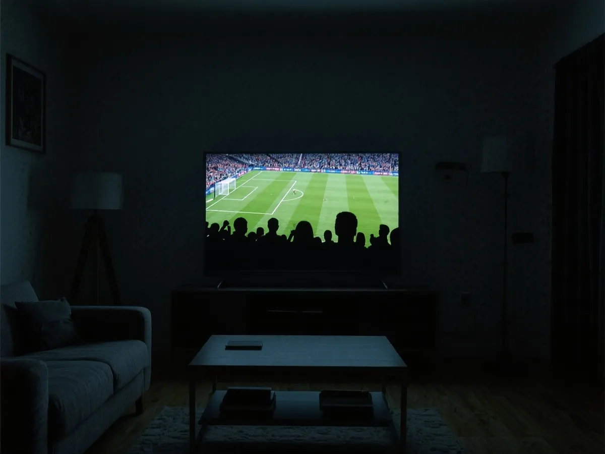 大螢幕觀賽示意圖